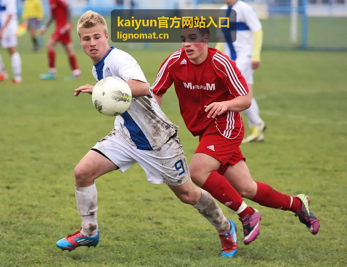 kaiyun官方网站入口 官方入口指引栏目配图