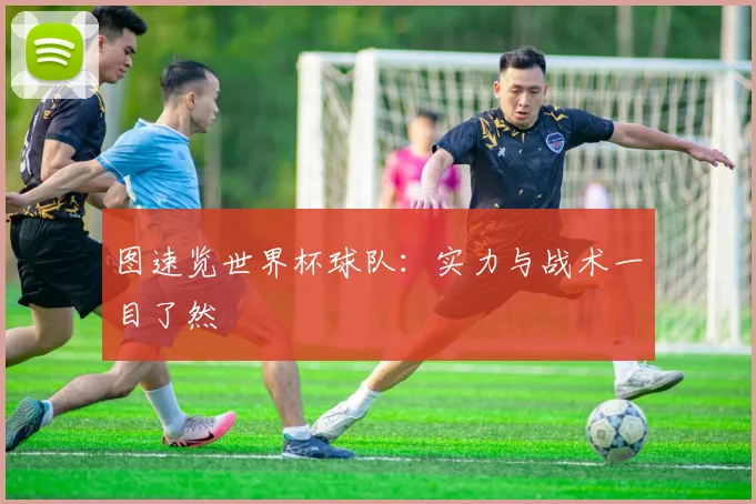 图速览世界杯球队：实力与战术一目了然
