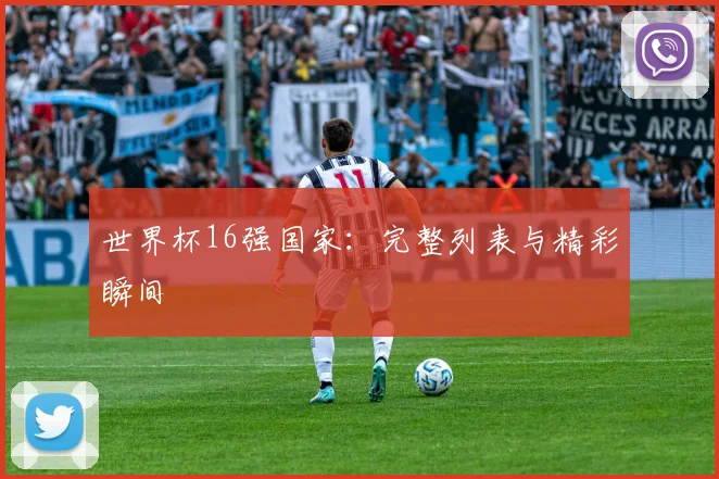 世界杯16强国家:完整列表与精彩瞬间
