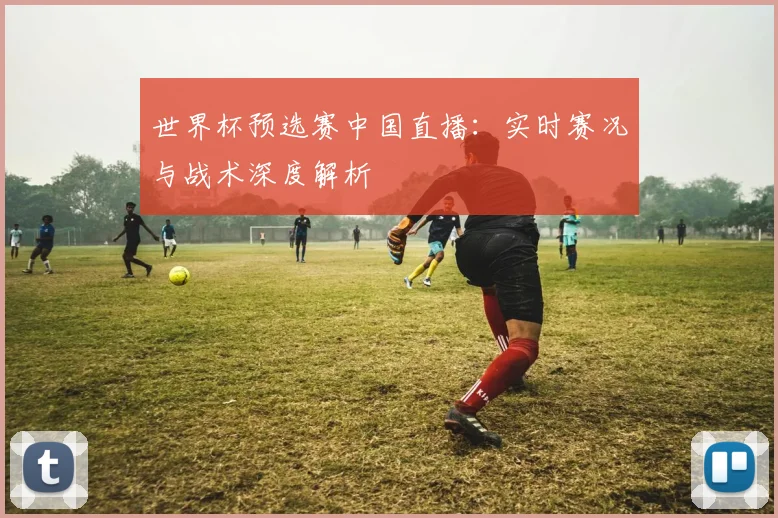 世界杯预选赛中国直播:实时赛况与战术深度解析