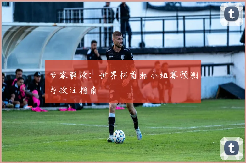 专家解读：世界杯首轮小组赛预测与投注指南