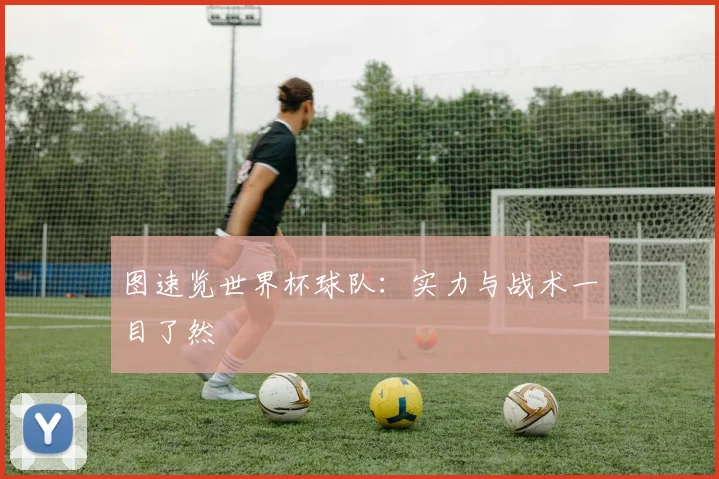 图速览世界杯球队:实力与战术一目了然